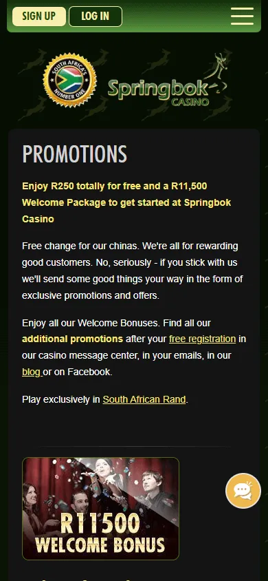 Springbok Casino promotions screen on a mobile device